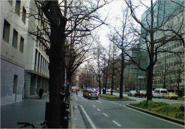 200802121653000 ２／１２大阪出張 御堂筋.jpg